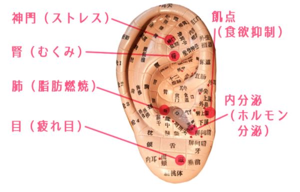 美容整体,アロマオイルマッサージ,エステ,群馬,高崎,前橋