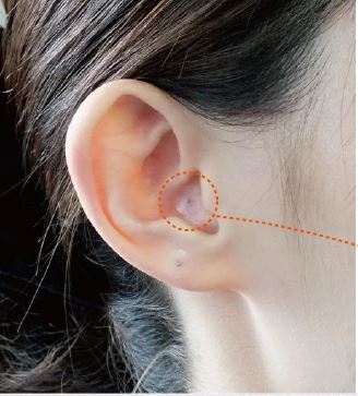 美容整体,アロマオイルマッサージ,エステ,群馬,高崎,前橋